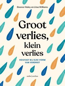 Groot verlies, klein verlies -  Eleanor Haley, Litsa Williams (ISBN: 9789026361579)
