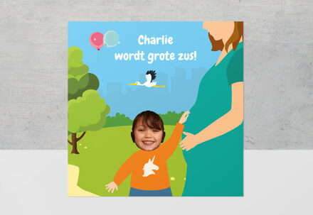 Groot Voorleesboek voor Meisjes - Zwangerschap