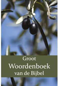 Groot Woordenboek van de Bijbel A-H - (ISBN:9789057195563)