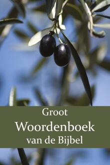 Groot Woordenboek van de Bijbel O-Z - (ISBN:9789057195464)