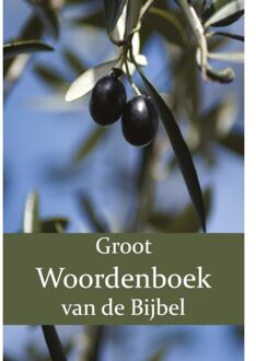 Groot Woordenboek van de Bijbel O-Z - (ISBN:9789057195464)