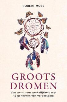 Groots dromen - (ISBN:9789020217834)