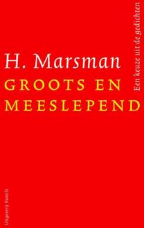 Groots en meeslepend - Boek Hendrik H. Marsman (9460043917)