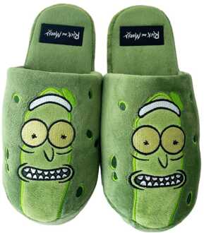 Groovy Rick & Morty Slippers Pickle Rick EU 42-45