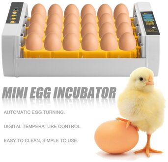 Grote Capaciteit Praktische 24 Eieren Mini Incubator Voor Kip Gevogelte Kwartel Kalkoen Eieren Thuisgebruik Automatische Ei Draaien