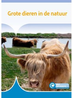 Grote Dieren In De Natuur - Mini Informatie - Susan Schaeffer