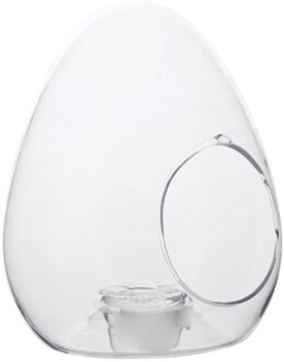 Grote Ei Vaas Terrarium-33 Cm