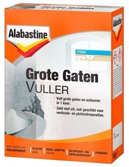 grote gaten vuller poeder - 1 kg.