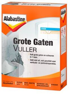 grote gaten vuller poeder - 1 kg.