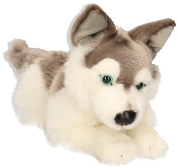 Grote Husky hond knuffeltje 30 cm - Knuffel huisdieren Multikleur