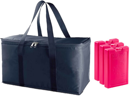 Grote koeltas blauw 39 x 22 x 19 cm met 3x stuks roze koelelementen