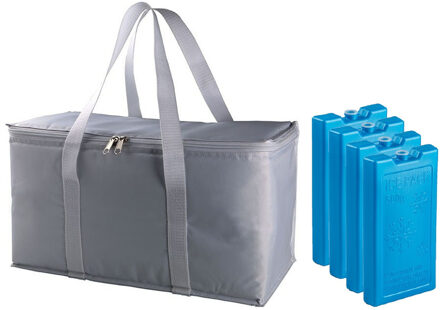 Grote koeltas zilver/grijs 39 x 22 x 19 cm met 4x stuks koelelementen