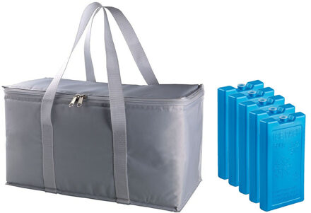 Grote koeltas zilver/grijs 39 x 22 x 19 cm met 5x stuks koelelementen