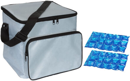 Grote koeltas zilver met 2 stuks flexibele koelelementen 21 liter