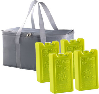 Grote koeltas zilvergrijs 39 x 22 x 19 cm met 4x stuks koelelementen