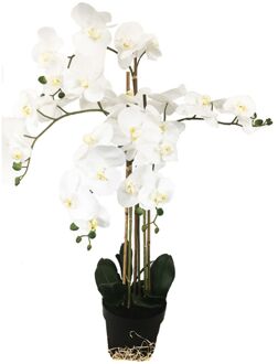 Grote Levensechte Kunst Orchidee / Phlaenopsis plant 100 cm met pot - Witte kunst orchidee - Kunstplanten