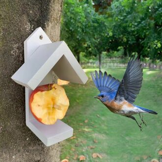 Grote Nest Huis Vogel Doos Houten Vogel Huis Nest Creatieve Outdoor Vogelhuisje Houten Doos Opknoping Vogel Huis Tuin Decor