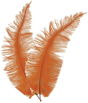 Grote struisvogelveer - 2x - oranje - 40 cm - Charleston/jaren 20/twenties thema verkleed accessoire