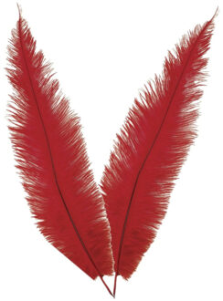 Grote struisvogelveer - 2x - rood - 40 cm - Charleston/jaren 20/twenties thema verkleed accessoire