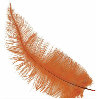 Grote struisvogelveer - oranje - 40 cm - Charleston/jaren 20/twenties thema verkleed accessoire