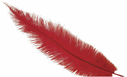 Grote struisvogelveer - rood - 40 cm - Charleston/jaren 20/twenties thema verkleed accessoire