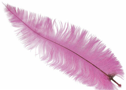 Grote struisvogelveer - roze - 40 cm - Charleston/jaren 20/twenties thema verkleed accessoire