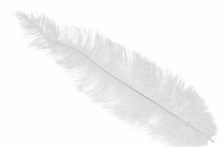 Grote struisvogelveer - wit - 40 cm - Charleston/jaren 20/twenties thema verkleed accessoire