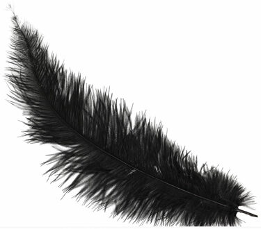 Grote struisvogelveer - zwart - 40 cm - Charleston/jaren 20/twenties thema verkleed accessoire