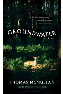 Groundwater - Thomas McMullan
