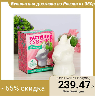 Growing grass in a pot "Rabbit"