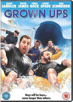 Grown Ups (2010) - Movie