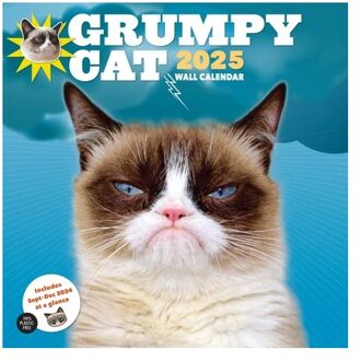 Grumpy Cat 2025 Wall Calendar - Cat, Grumpy
