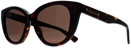 Gucci Cat Eye Dames Havana Bruin GG1588S - maat