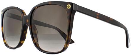 Gucci Cat Eye Dames Havana Gray Gracient zonnebril Bruin