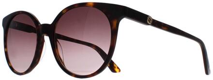 Gucci Ronde Dames Donker Havana Bruin Gradiënt GG0488S - One Size