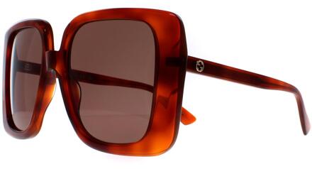 Gucci Vierkante Dames Havana Bruin GG1314S
