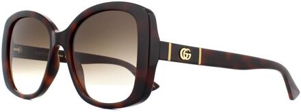 Gucci Vlinder Dames Havana Bruin Gradient Zonnebril - maat