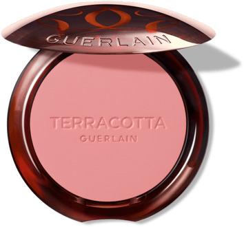 Guerlain Blush Guerlain Terracotta Blush 2 5 g