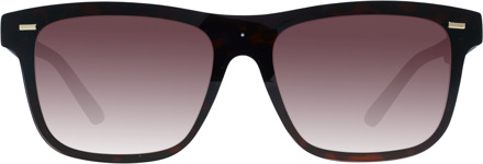 Guess GF0183 52F bruin bruin gradiënt zonnebril