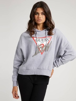Guess Sweater Met Capuchon Iconlogo Grijs - XS