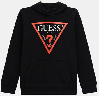 Guess Sweatshirt Met Capuchon Driehoeklogo Zwart - 14