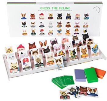 Guess The Feline - Journey of Something