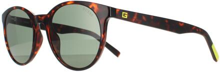 Guess zonnebril gu00023 52n donker havana groen Bruin
