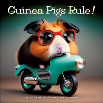 Guinea Pigs Rule! Square Wall Calendar 2025 - Media, Gladstone