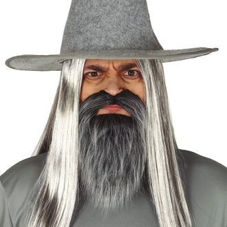 Guirca Carnaval/verkleed accessoires baard/snor - half lang - grijs - aan elastiek - Verkleedbaarden