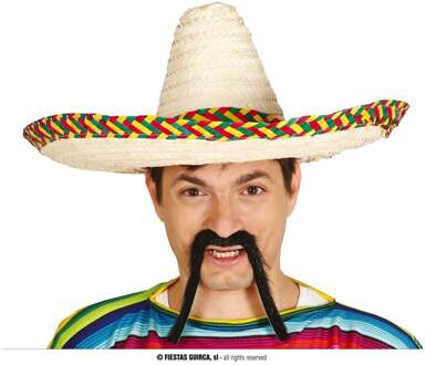 Guirca Mexicaanse Sombrero hoed voor heren - carnaval/verkleed accessoires - multi kleuren