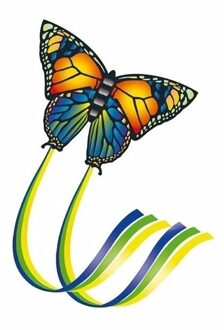 Gunther Gekleurde vlieger voor kinderen vlinder Multi