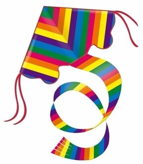 Gunther Regenboog vlieger - gekleurd - 97 x 58 cm - strandspeelgoed Multi