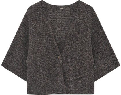 Gustav Jasje 58439 anasia Bruin - M