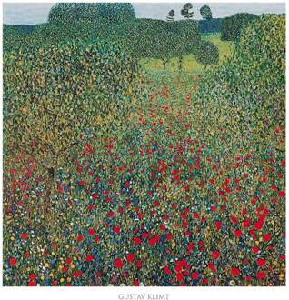 Gustav Klimt - Campo Di Papaveri Kunstdruk 70x70cm